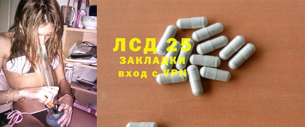 ECSTASY Горняк