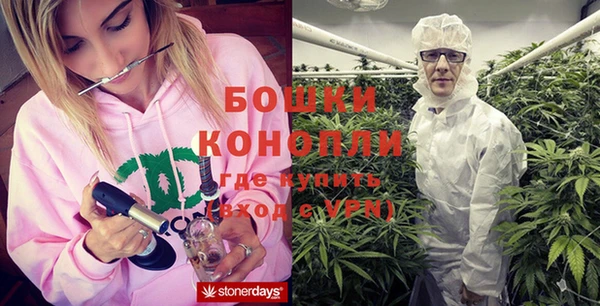 ECSTASY Горняк