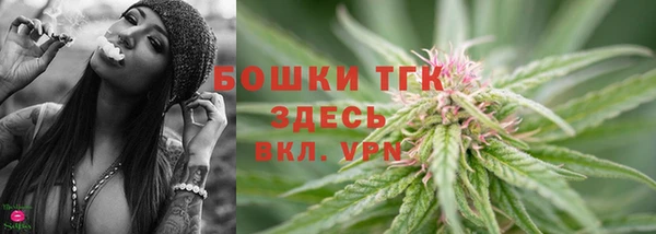 ECSTASY Горняк