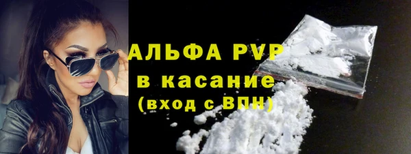ECSTASY Горняк