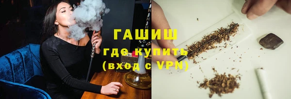 ECSTASY Горняк