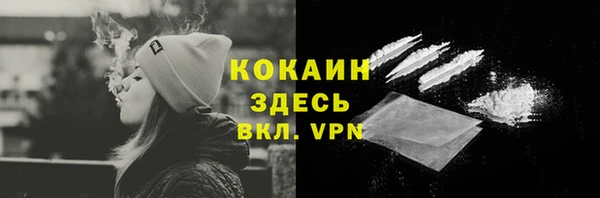 ECSTASY Горняк