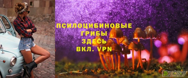 ECSTASY Горняк