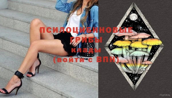 mdpv Горнозаводск