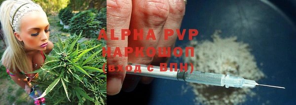 ECSTASY Горняк