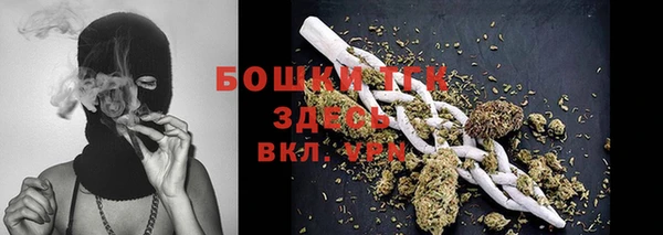 mdpv Горнозаводск