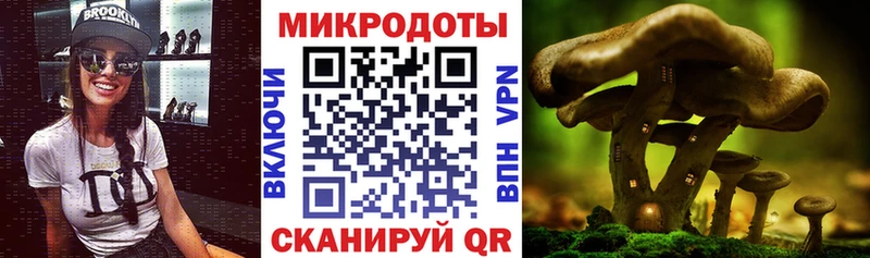 Псилоцибиновые грибы Magic Shrooms  Купить  Норильск 